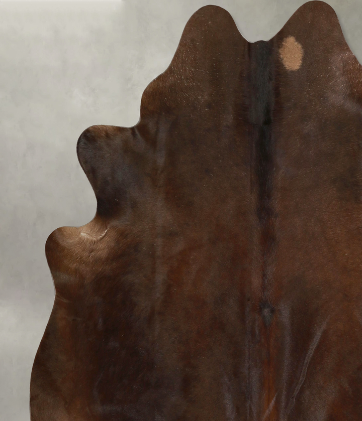 Chocolate X-Large Brazilian Cowhide Rug 6'11"H x 6'9"W #A49335 by Hudson Hides