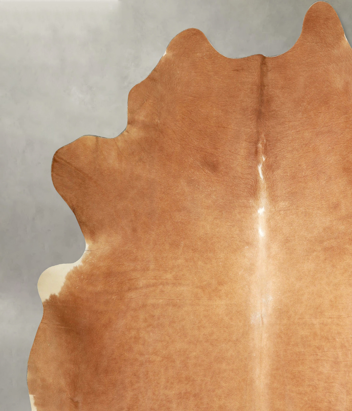 Solid Brown XX-Large Brazilian Cowhide Rug 8'4"H x 7'4"W #A49337 by Hudson Hides