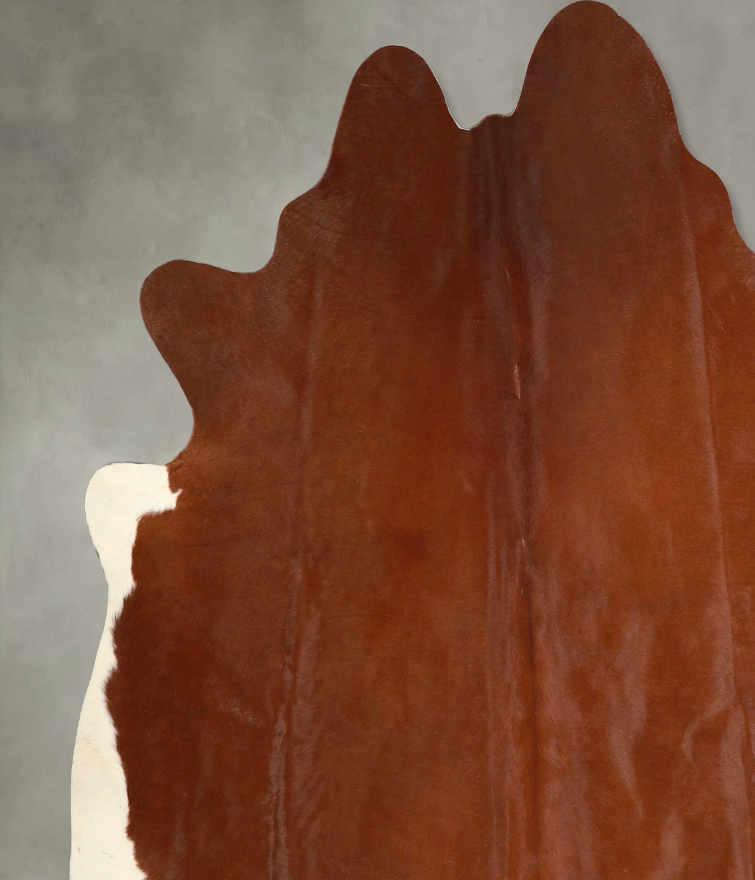 Brown and White Regular X-Large Brazilian Cowhide Rug 6'10"H x 6'9"W #