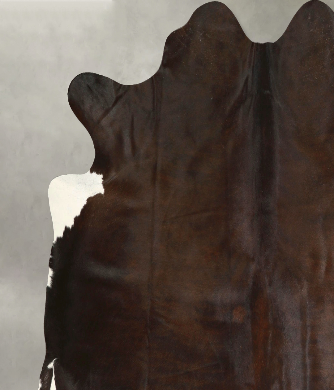 Chocolate Large Brazilian Cowhide Rug 6'3"H x 6'5"W #A49339 by Hudson 