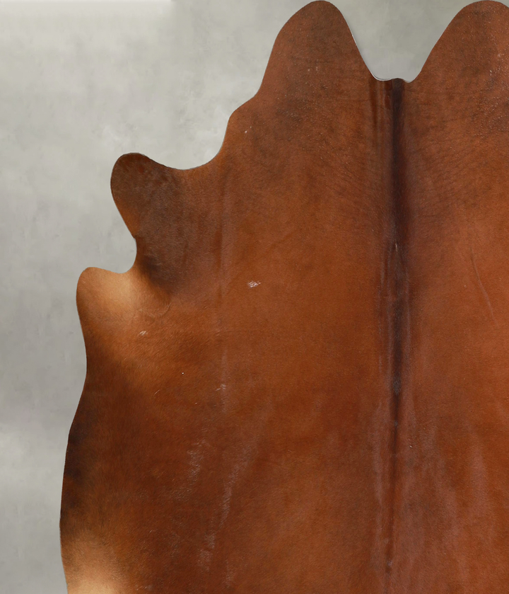 Solid Brown XX-Large Brazilian Cowhide Rug 7'1"H x 7'3"W #A49343 by Hudson Hides