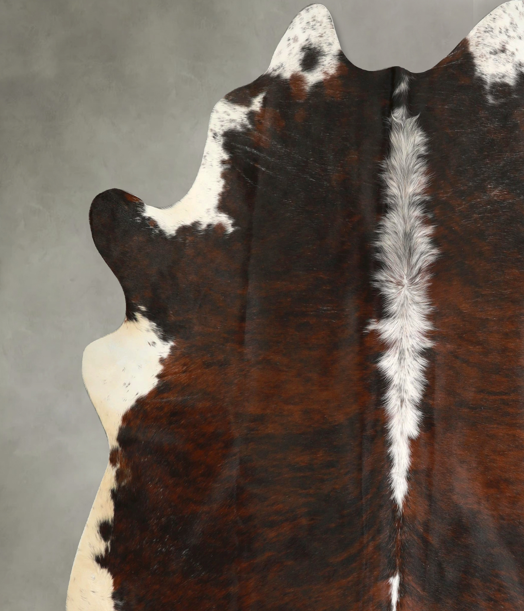 Tricolor X-Large Brazilian Cowhide Rug 7'2"H x 6'5"W #A49344 by Hudson