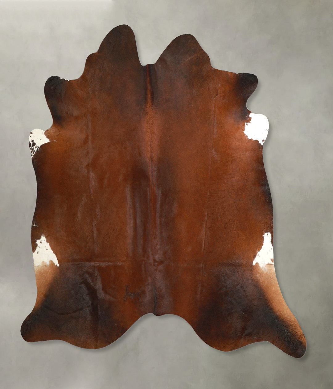 Warm Caramel X-Large Brazilian Cowhide Rug 6'3"H x 6'9"W #A49348 by Hu