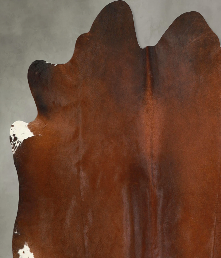 Warm Caramel X-Large Brazilian Cowhide Rug 6'3"H x 6'9"W #A49348 by Hudson Hides