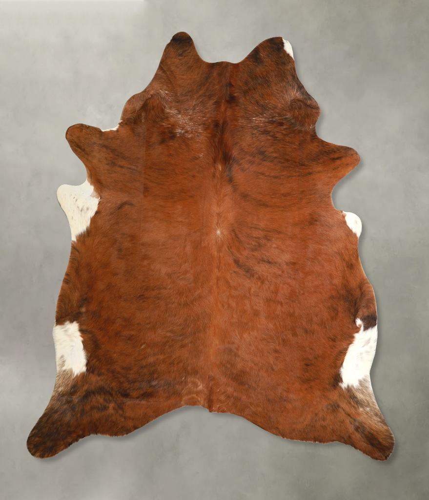 Medium Brindle XX-Large Brazilian Cowhide Rug 7'11"H x 7'1"W #A49349 by Hudson Hides