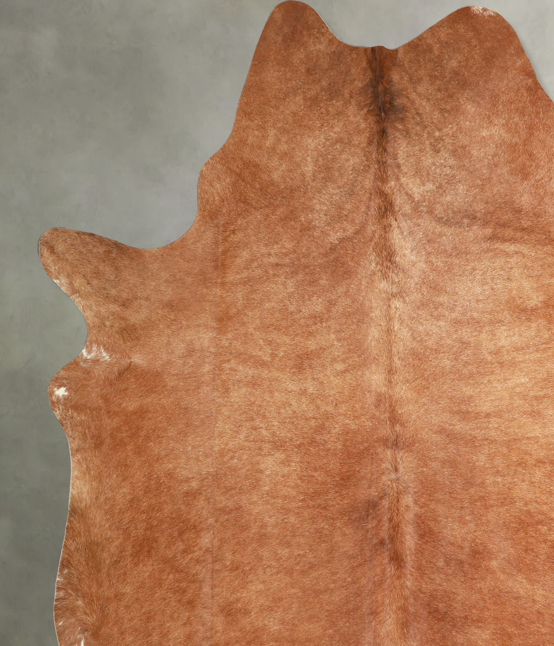 Solid Brown XX-Large Brazilian Cowhide Rug 7'9"H x 6'7"W #A49351 by Hu
