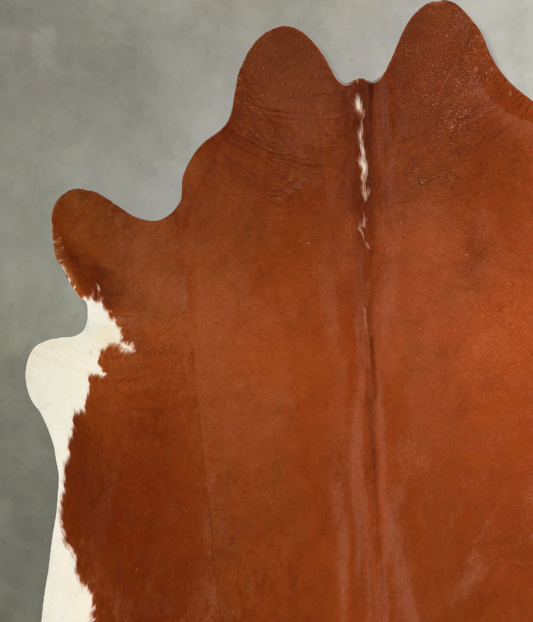 Brown and White Regular XX-Large Brazilian Cowhide Rug 7'3"H x 7'4"W #