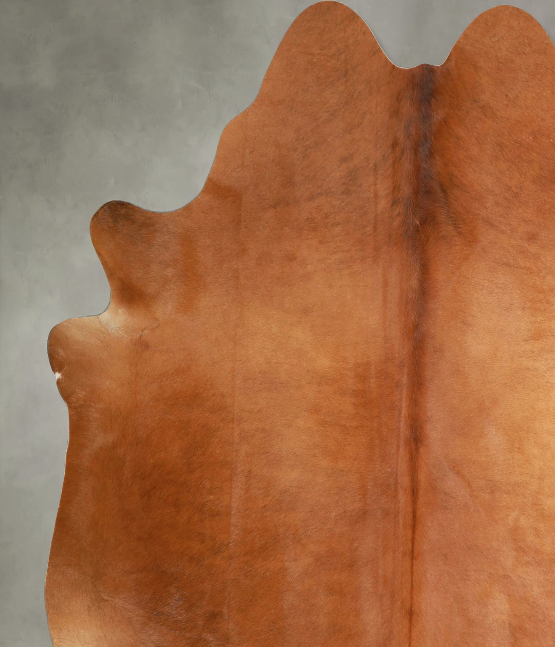 Solid Brown X-Large Brazilian Cowhide Rug 7'4"H x 6'9"W #A49355 by Hud