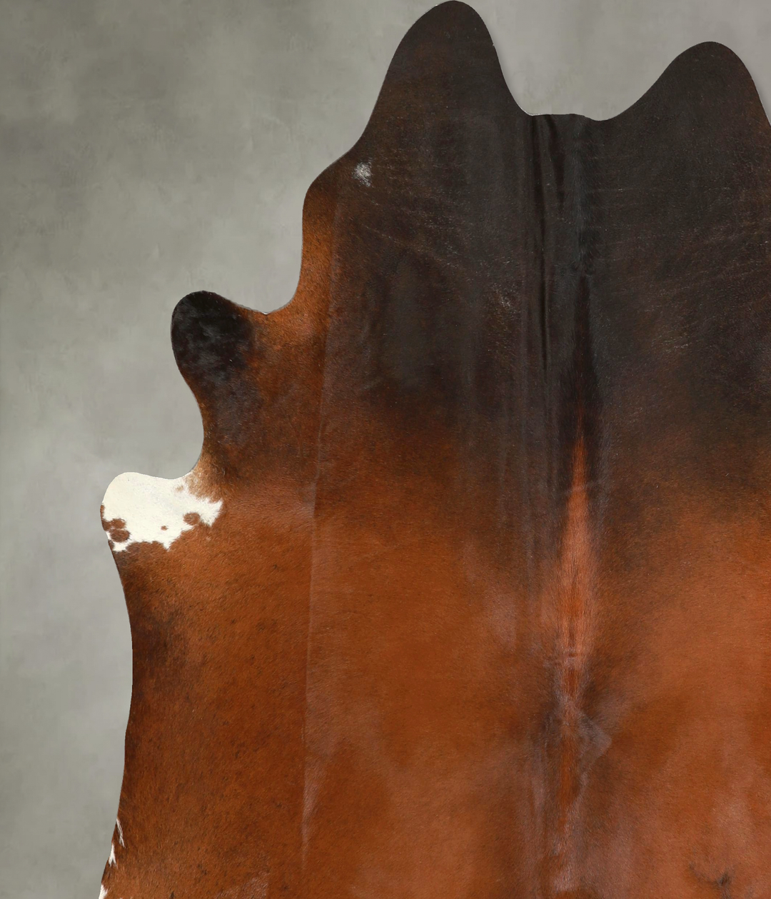 Warm Caramel X-Large Brazilian Cowhide Rug 7'5"H x 6'7"W #A49356 by Hu