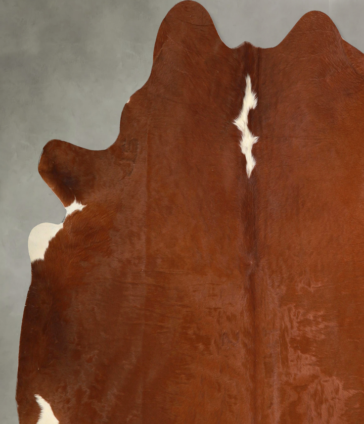 Brown and White Regular XX-Large Brazilian Cowhide Rug 7'2"H x 7'3"W #A49360 by Hudson Hides