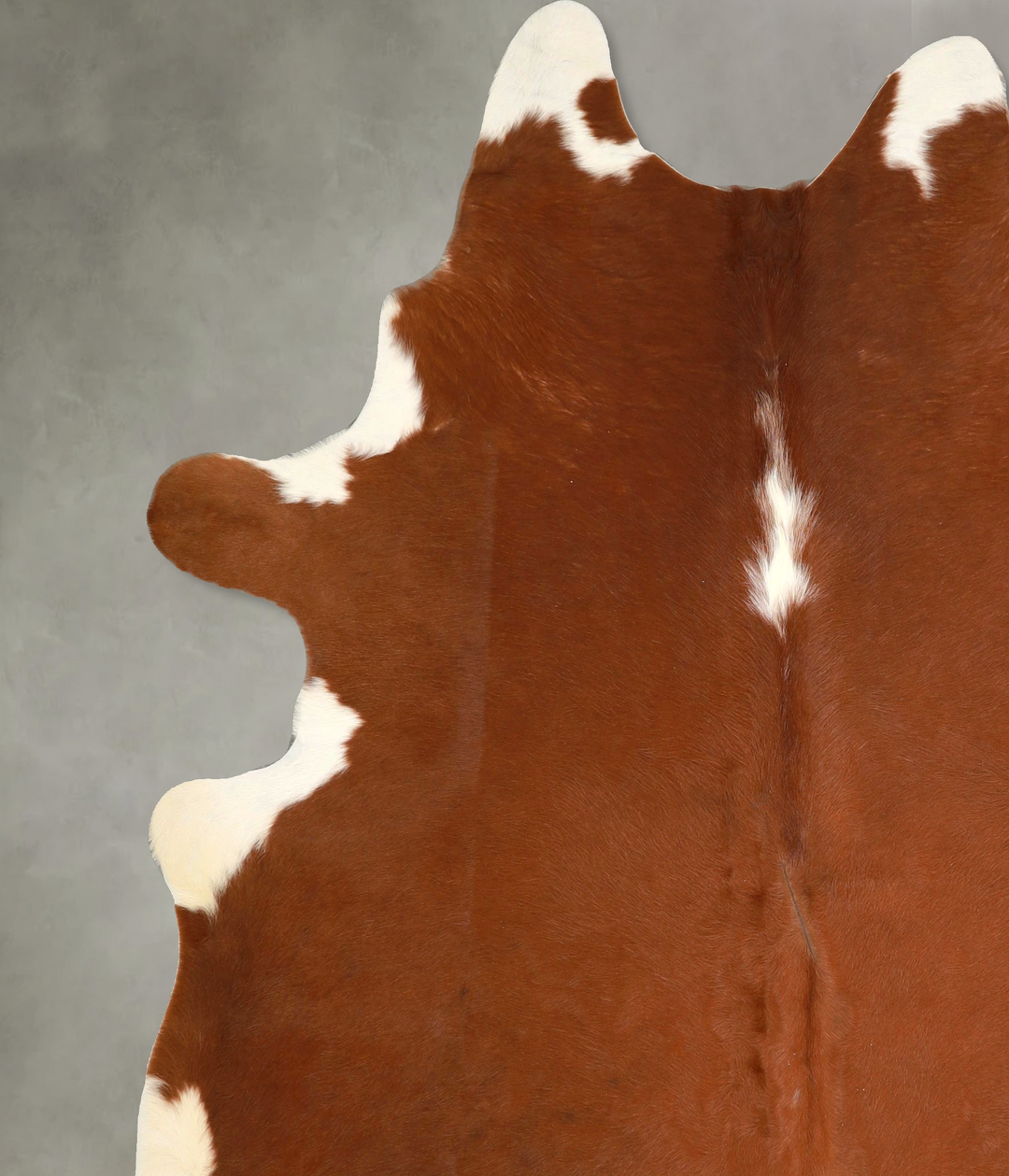 Brown and White XX-Large Brazilian Cowhide Rug 8'2"H x 7'5"W #A49371 b