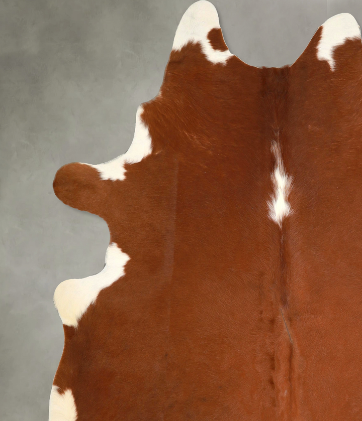 Brown and White XX-Large Brazilian Cowhide Rug 8'2"H x 7'5"W #A49371 by Hudson Hides