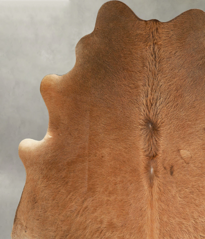 Light Caramel XX-Large Brazilian Cowhide Rug 7'10"H x 6'11"W #A49374 by Hudson Hides