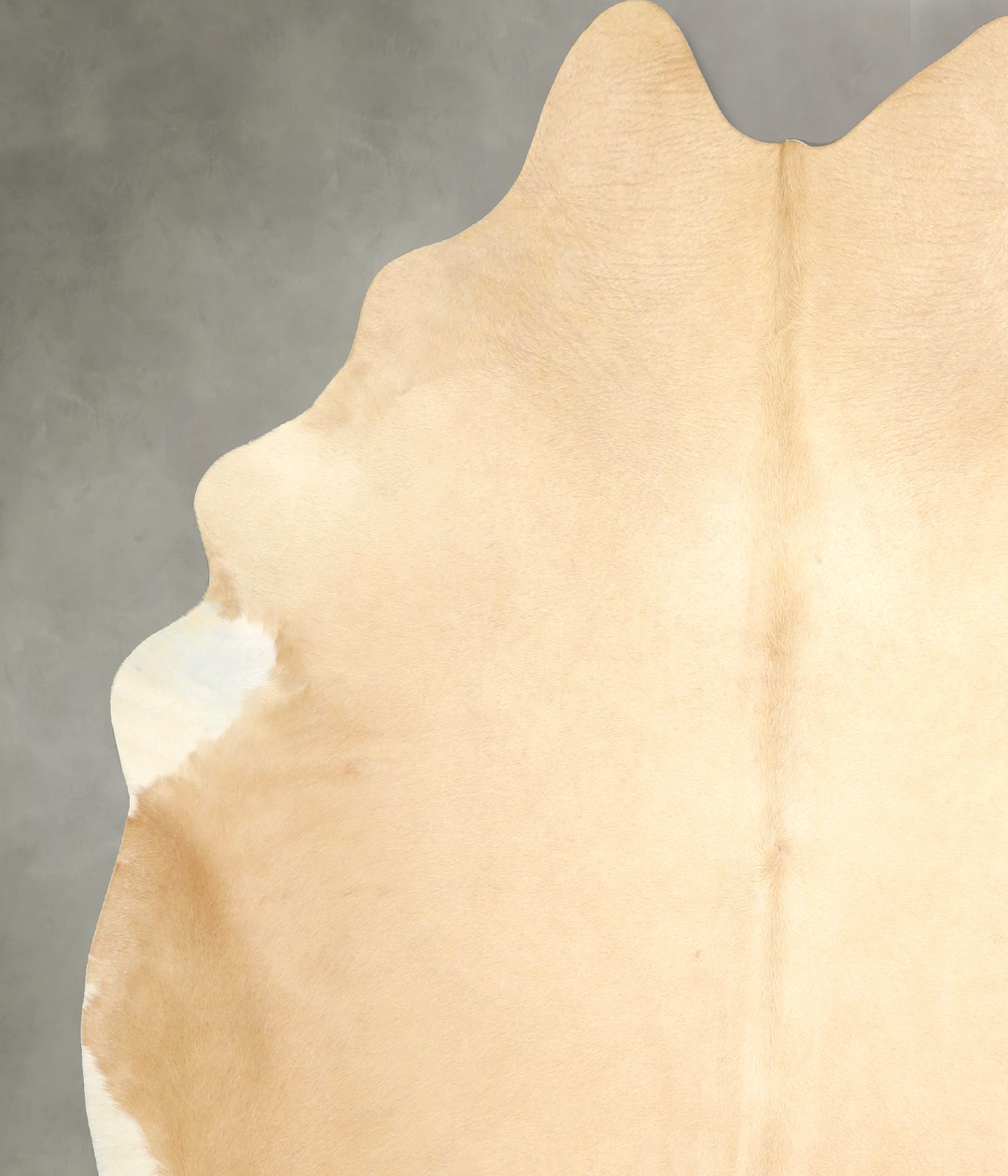 Palomino X-Large Brazilian Cowhide Rug 7'5"H x 6'6"W #A49376 by Hudson