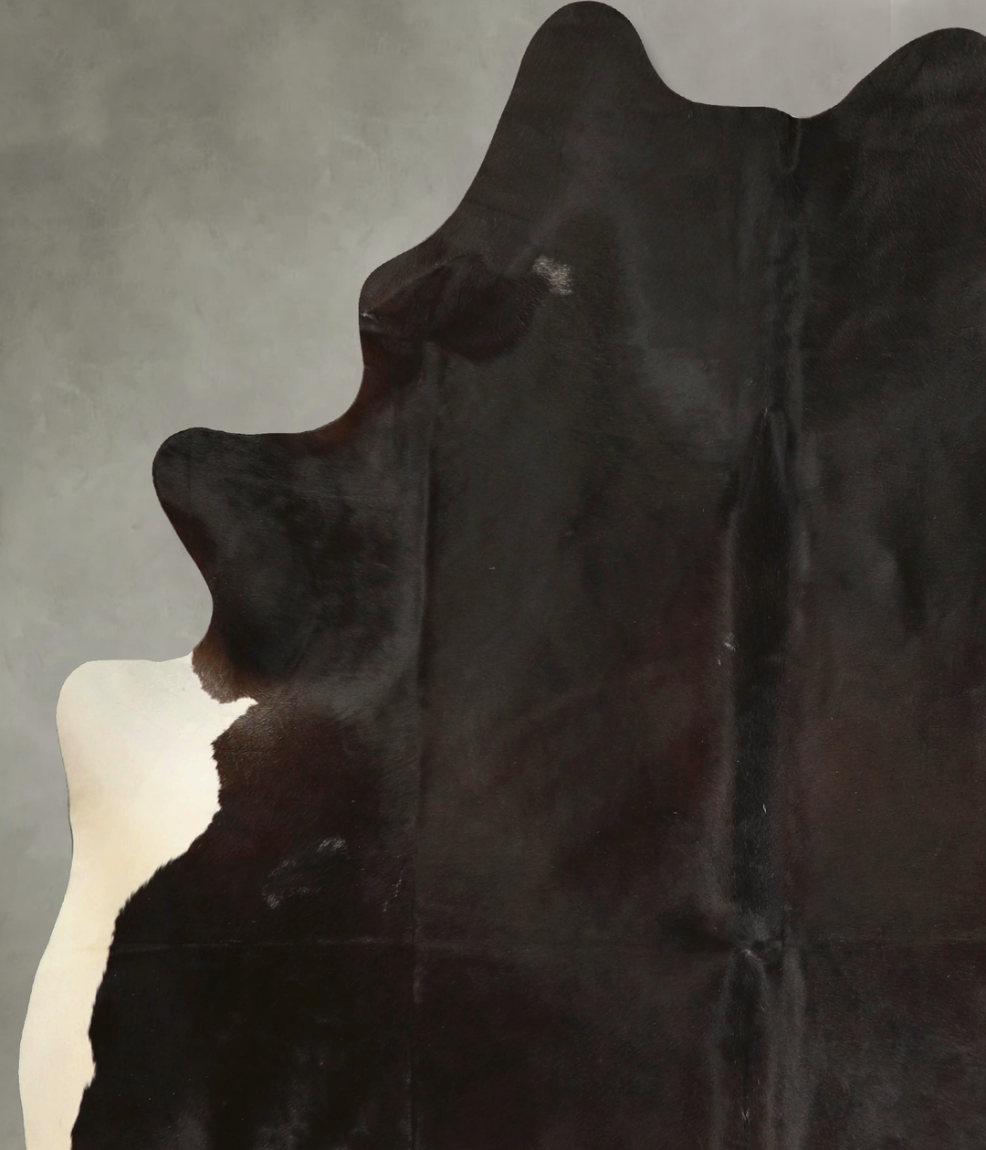 Chocolate and White XX-Large Brazilian Cowhide Rug 8'0"H x 6'8"W #A493