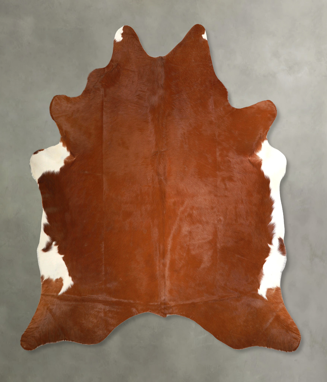Brown and White Regular X-Large Brazilian Cowhide Rug 7'2"H x 6'7"W #A