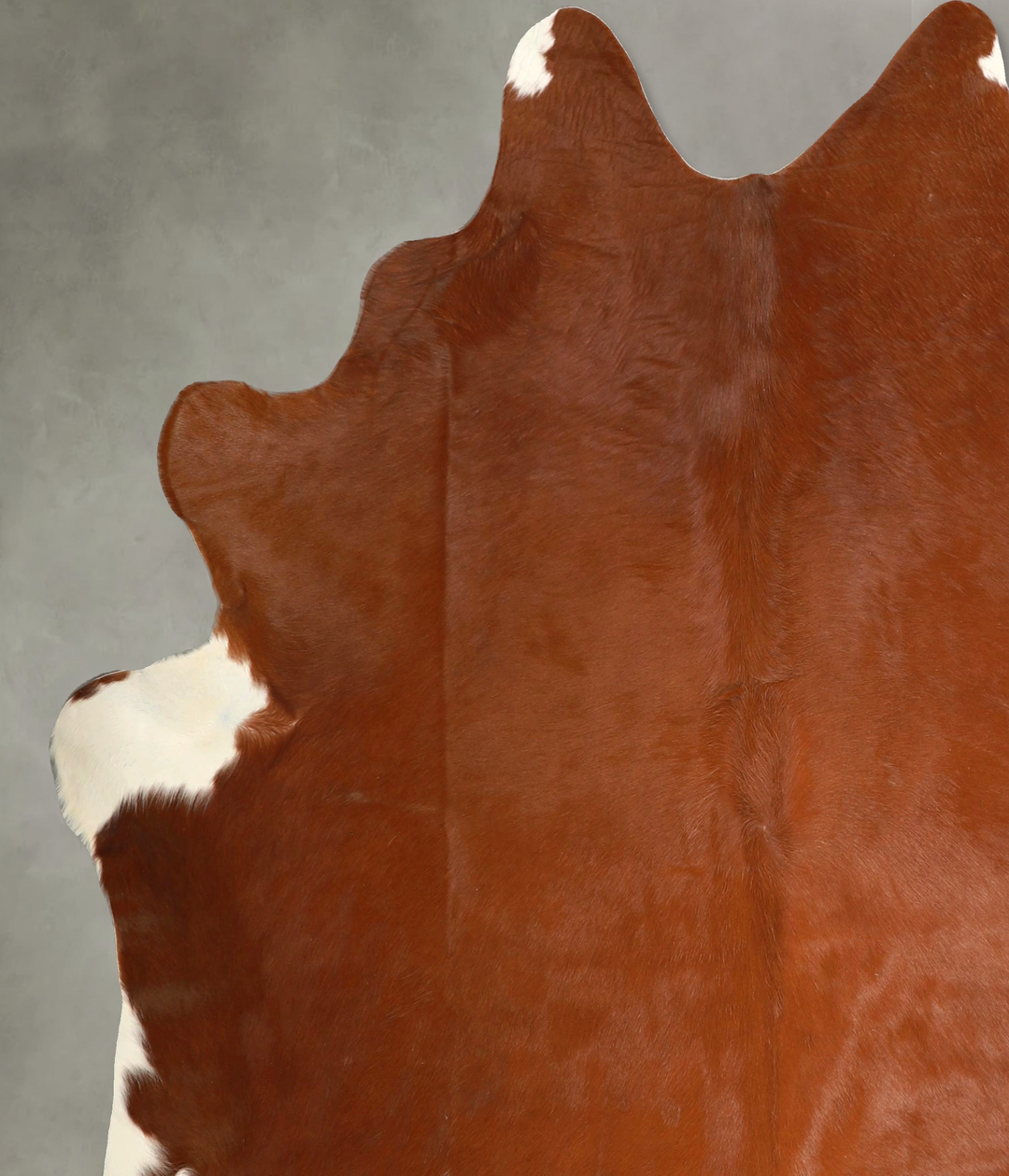 Brown and White Regular X-Large Brazilian Cowhide Rug 7'2"H x 6'7"W #A