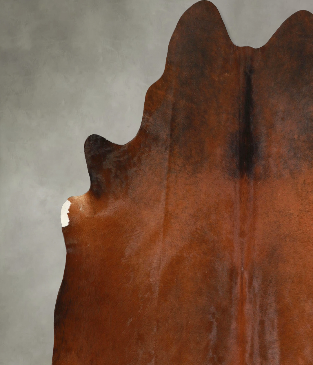 Warm Caramel XX-Large Brazilian Cowhide Rug 7'2"H x 7'0"W #A49381 by H