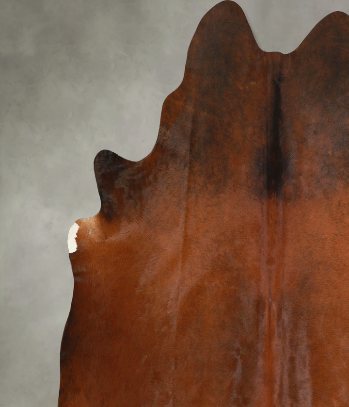 Warm Caramel XX-Large Brazilian Cowhide Rug 7'2"H x 7'0"W #A49381 by Hudson Hides