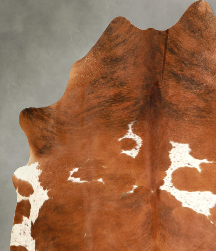 Tricolor X-Large Brazilian Cowhide Rug 7'5"H x 6'2"W #A49382 by Hudson Hides