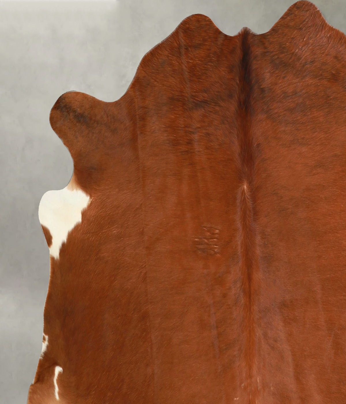 Solid Brown X-Large Brazilian Cowhide Rug 6'6"H x 6'11"W #A49384 by Hudson Hides