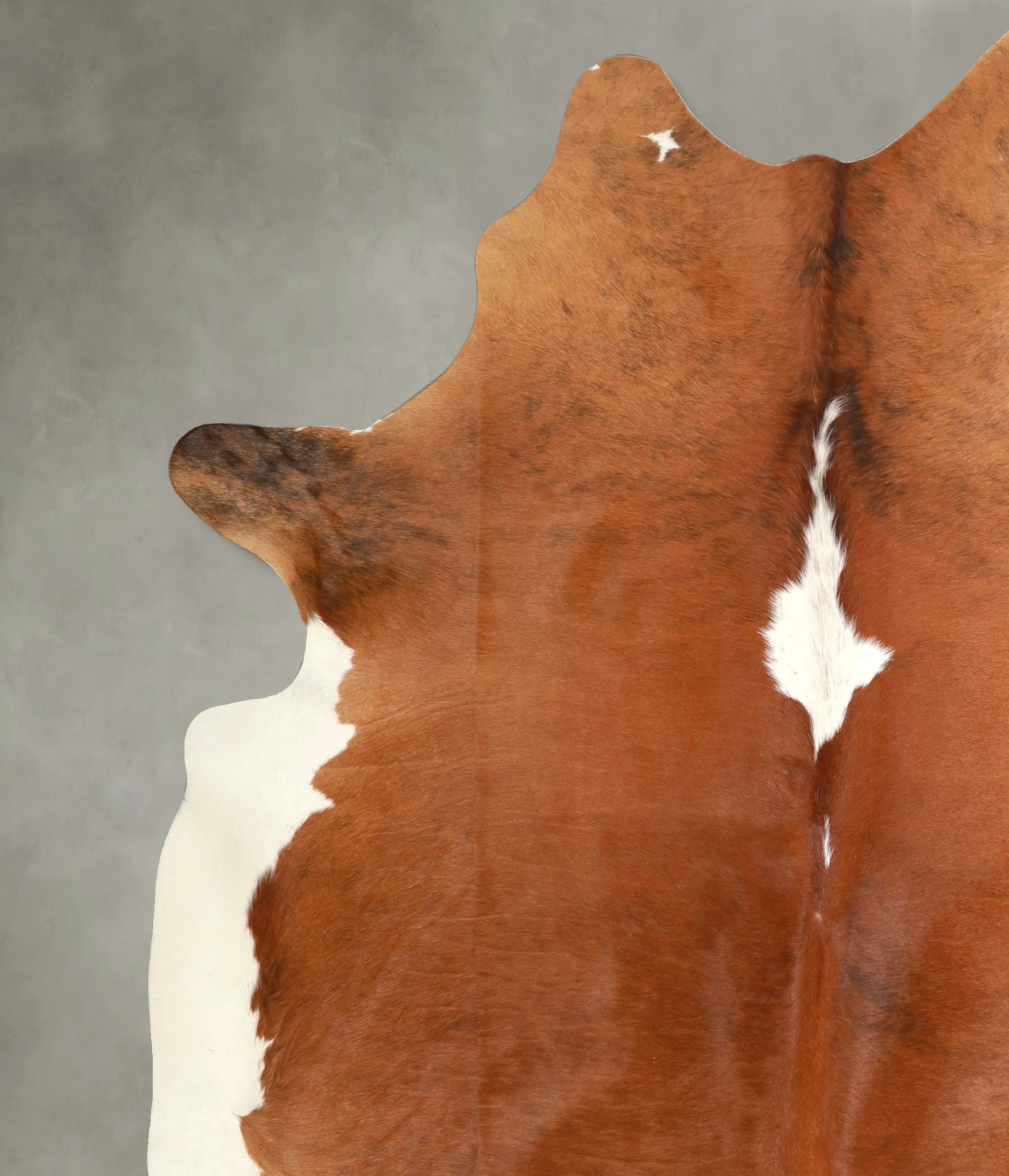 Medium Brindle Cowhide Rug #A49388