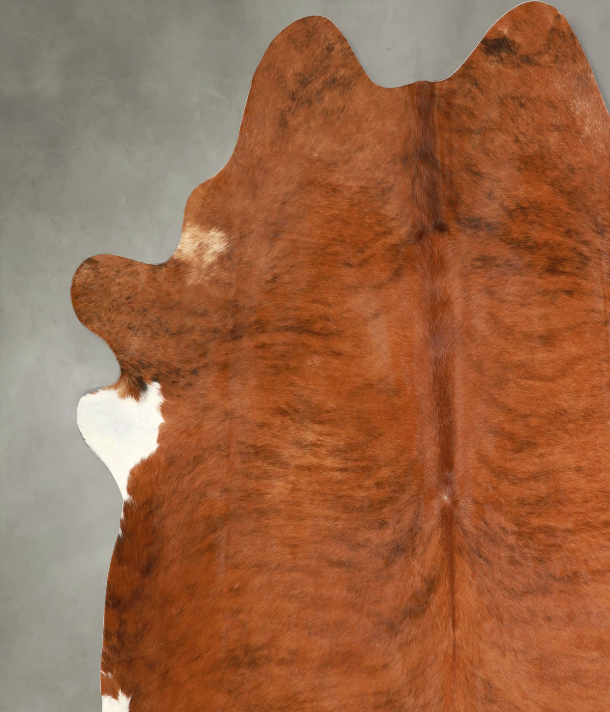 Medium Brindle XX-Large Brazilian Cowhide Rug 7'7"H x 7'0"W #A49392 by Hudson Hides