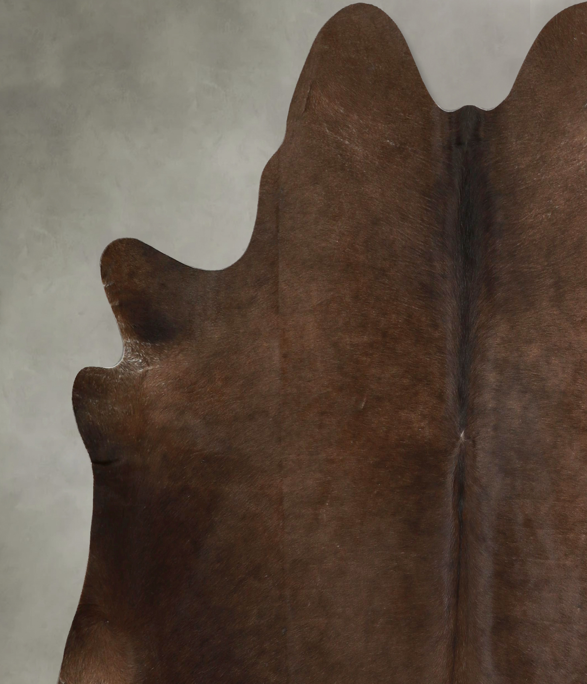 Chocolate X-Large Brazilian Cowhide Rug 6'7"H x 6'6"W #A49395 by Hudson Hides