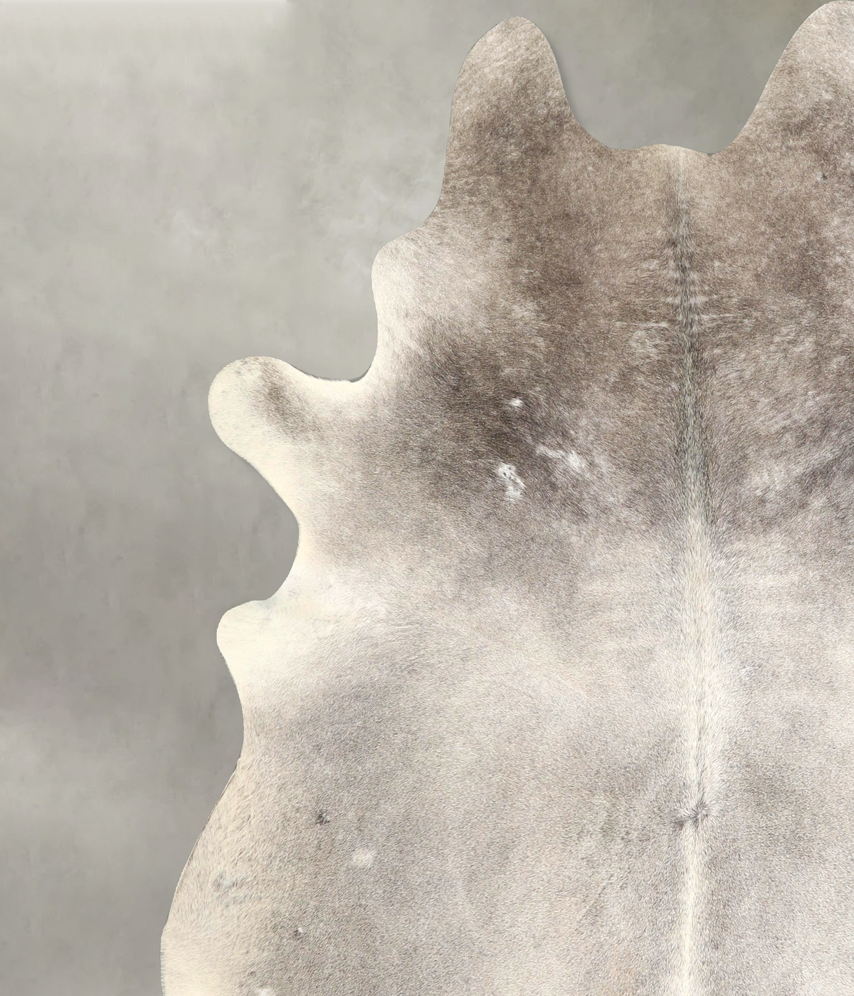 Medium Grey XX-Large Brazilian Cowhide Rug 8'0"H x 6'10"W #A49415 by Hudson Hides
