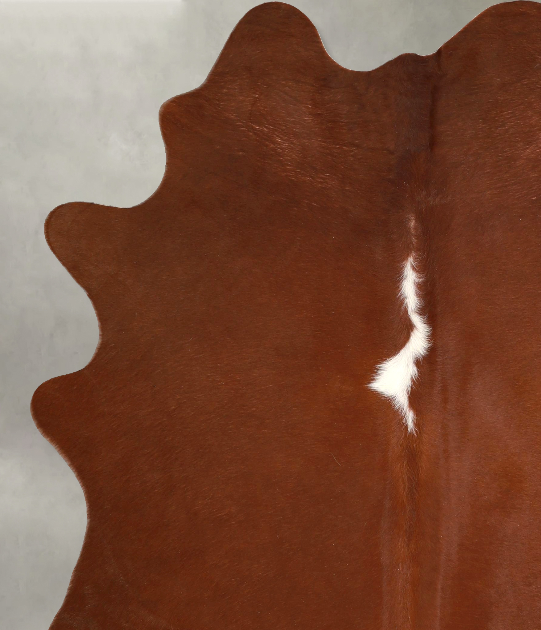 Brown and White Regular Cowhide Rug #A49426