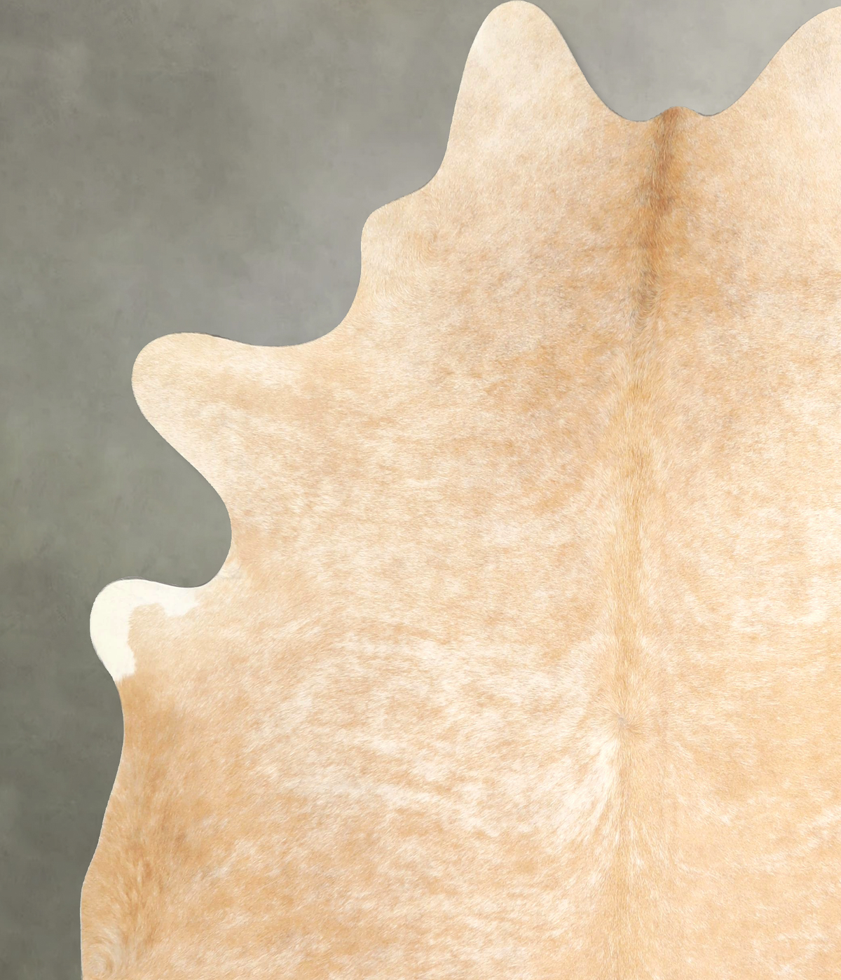 Palomino X-Large Brazilian Cowhide Rug 7'5"H x 6'6"W #A49428 by Hudson Hides