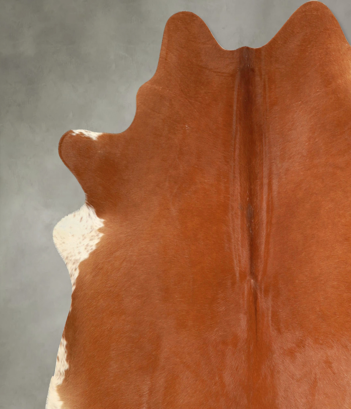 Solid Brown X-Large Brazilian Cowhide Rug 7'2"H x 6'9"W #A49429 by Hudson Hides