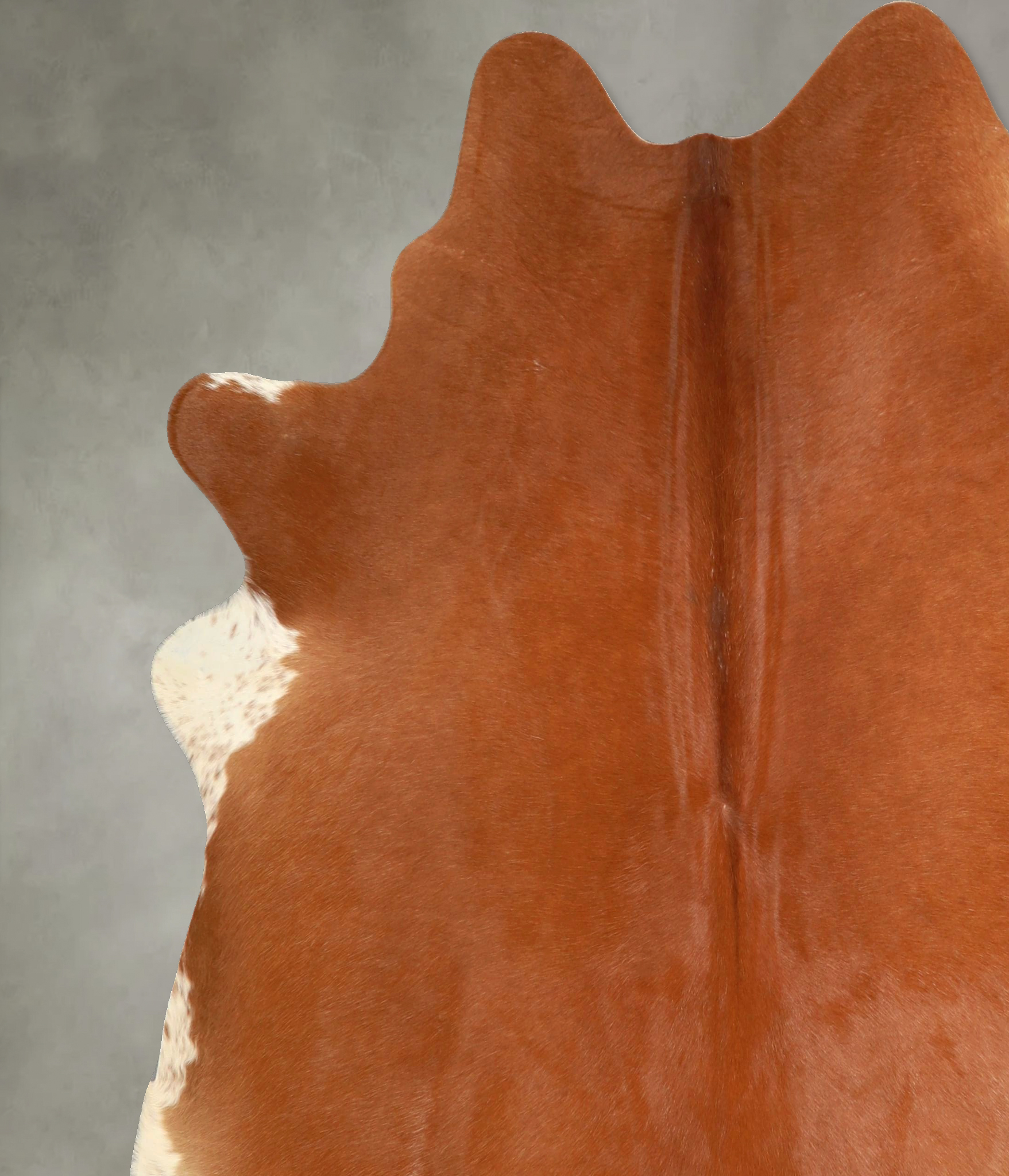 Solid Brown Cowhide Rug #A49429