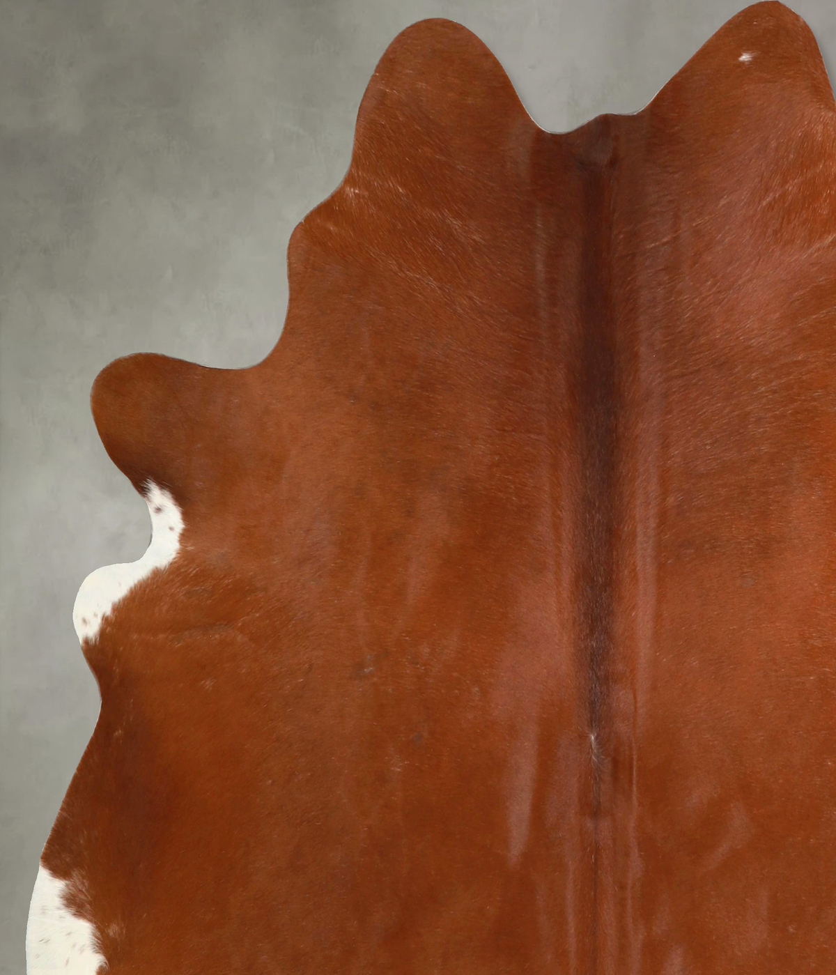 Solid Brown X-Large Brazilian Cowhide Rug 6'9"H x 6'6"W #A49430 by Hudson Hides