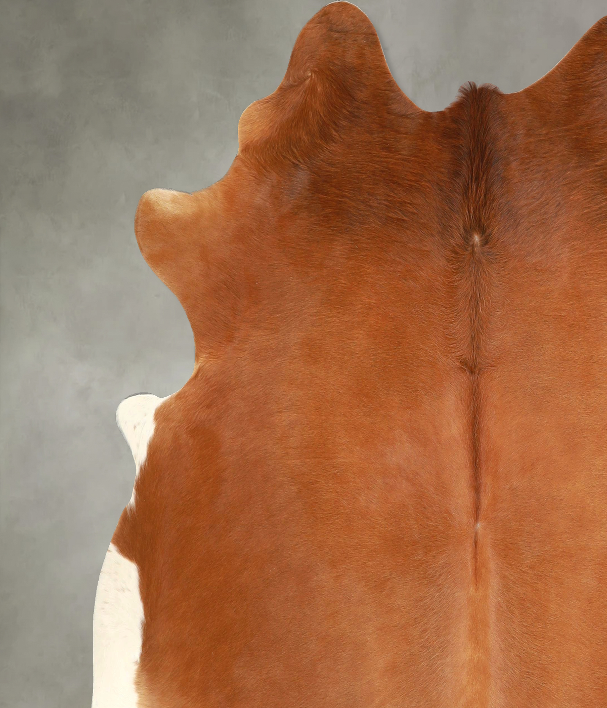 Solid Brown X-Large Brazilian Cowhide Rug 7'1"H x 6'8"W #A49435 by Hudson Hides
