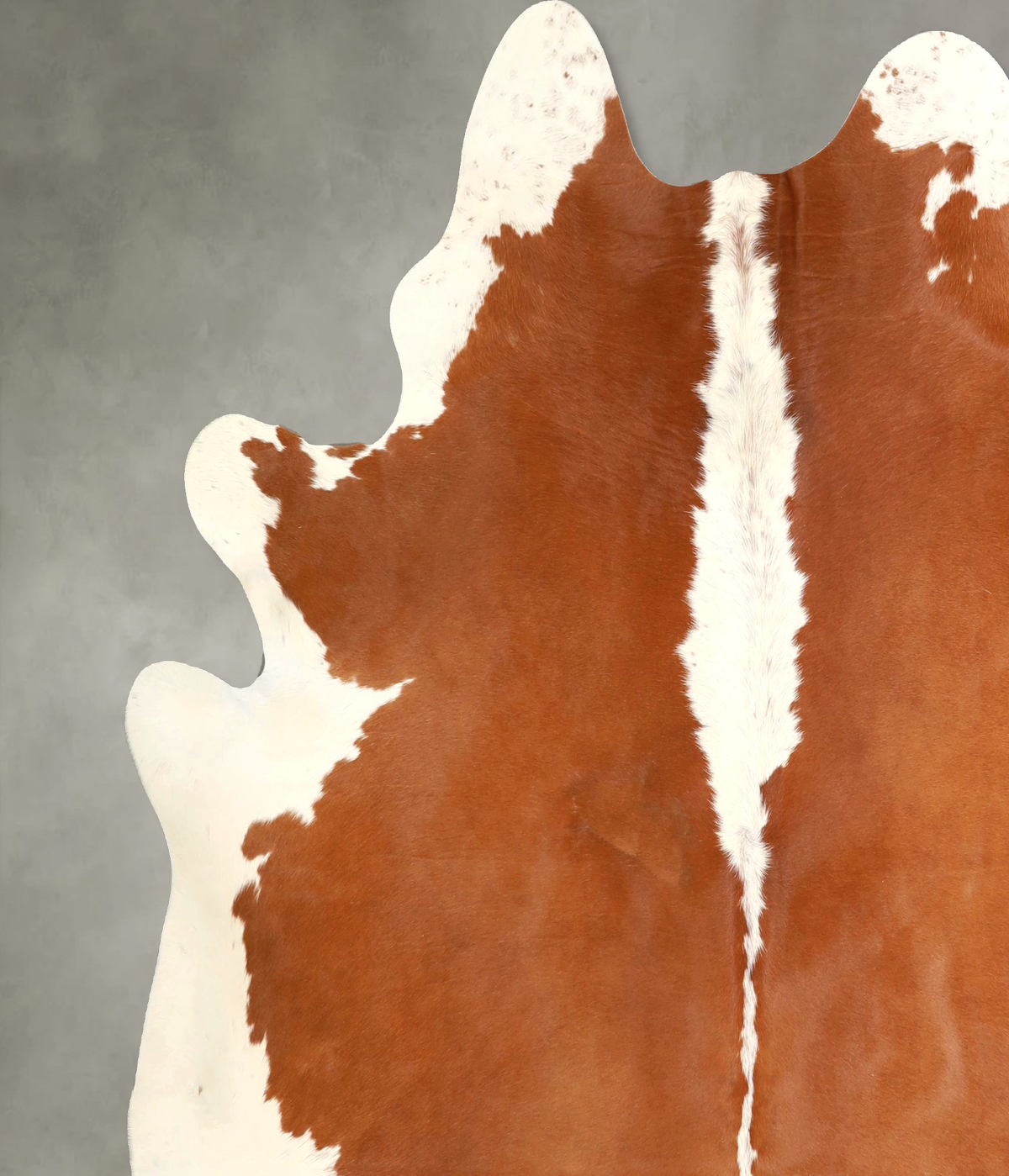 Hereford X-Large Brazilian Cowhide Rug 7'1"H x 7'0"W #A49436 by Hudson Hides