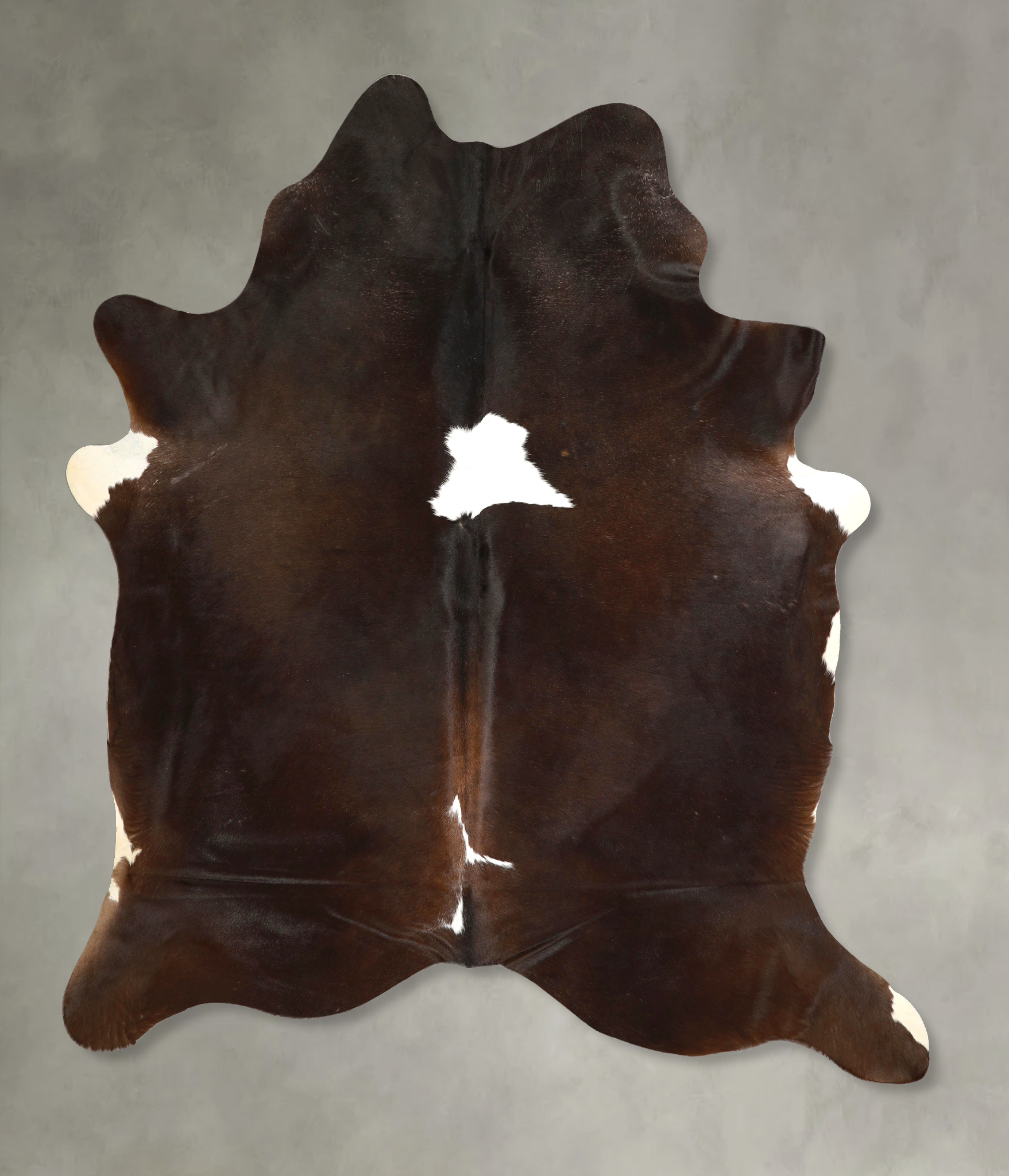 Chocolate and White Cowhide Rug #A49438