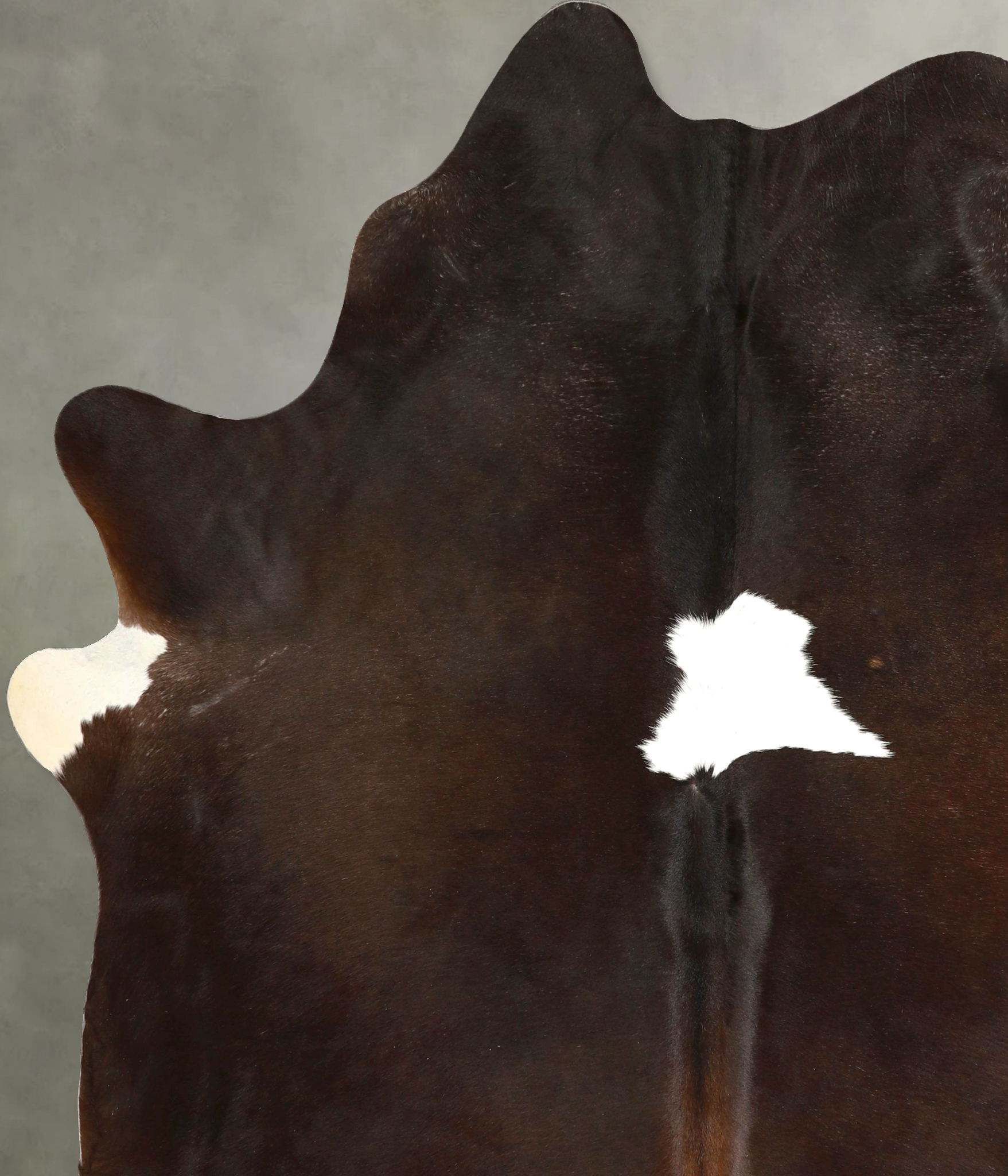 Chocolate and White Cowhide Rug #A49438