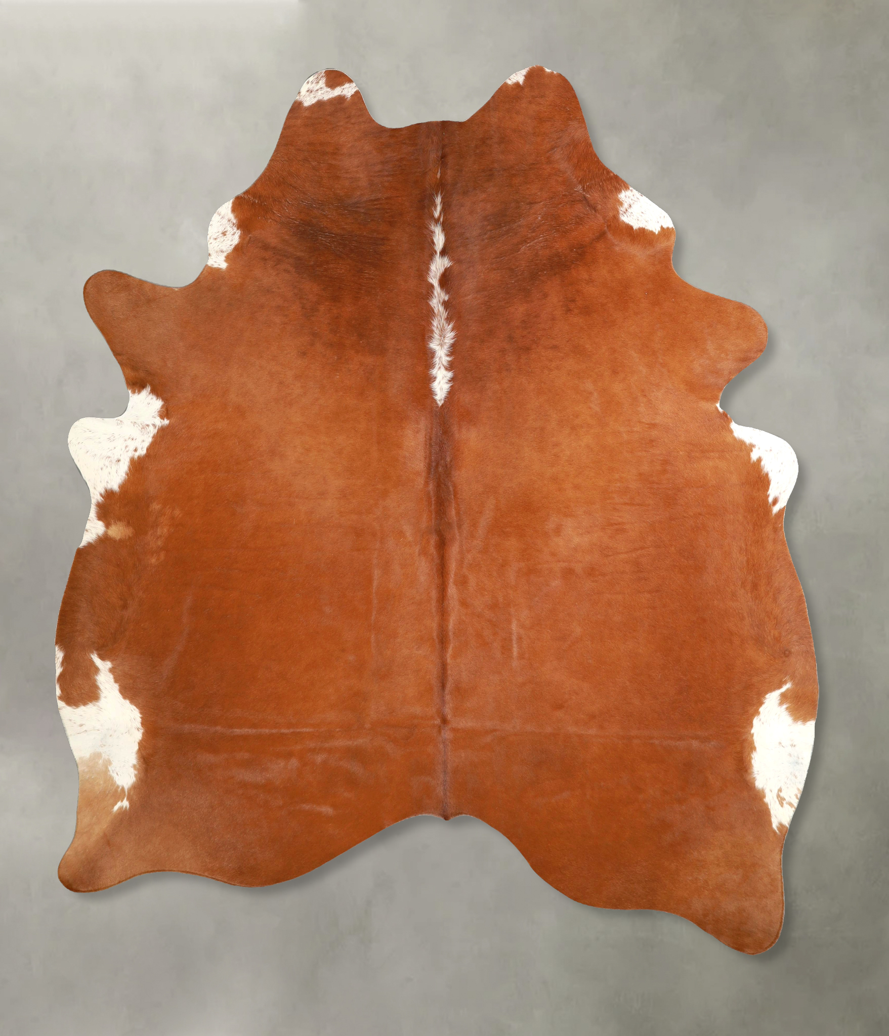 Brown and White Regular Cowhide Rug #A49439