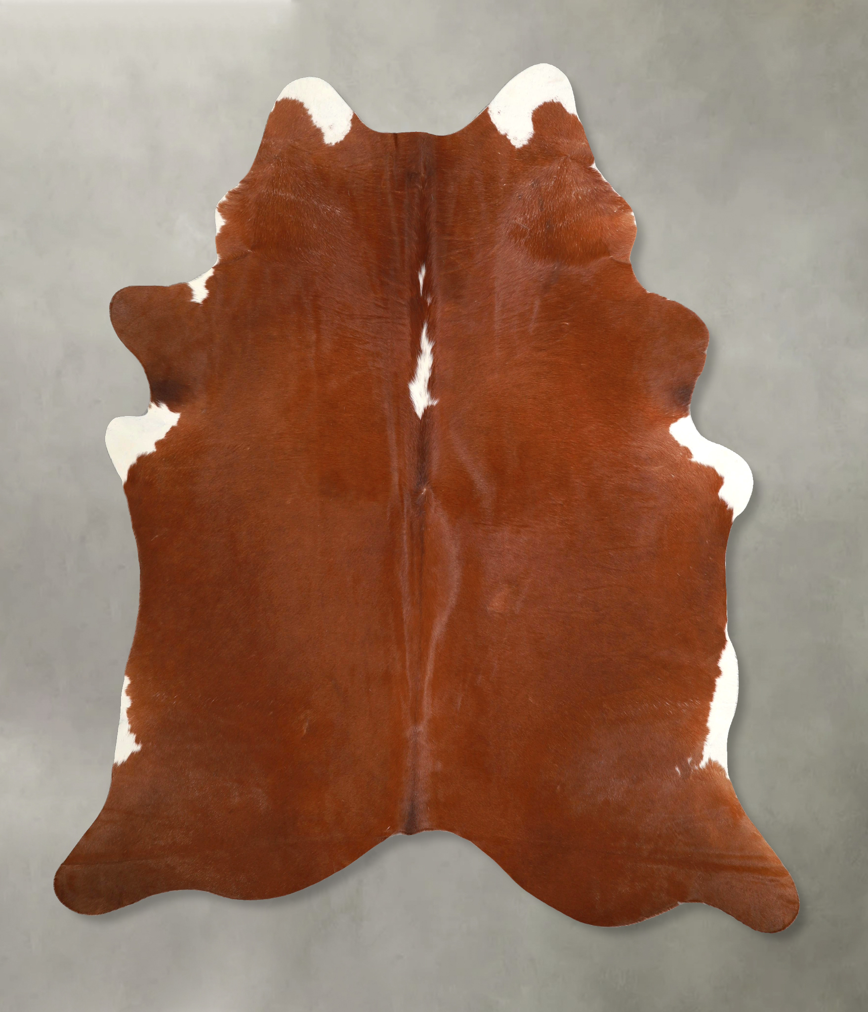 Brown and White Regular Cowhide Rug #A49441