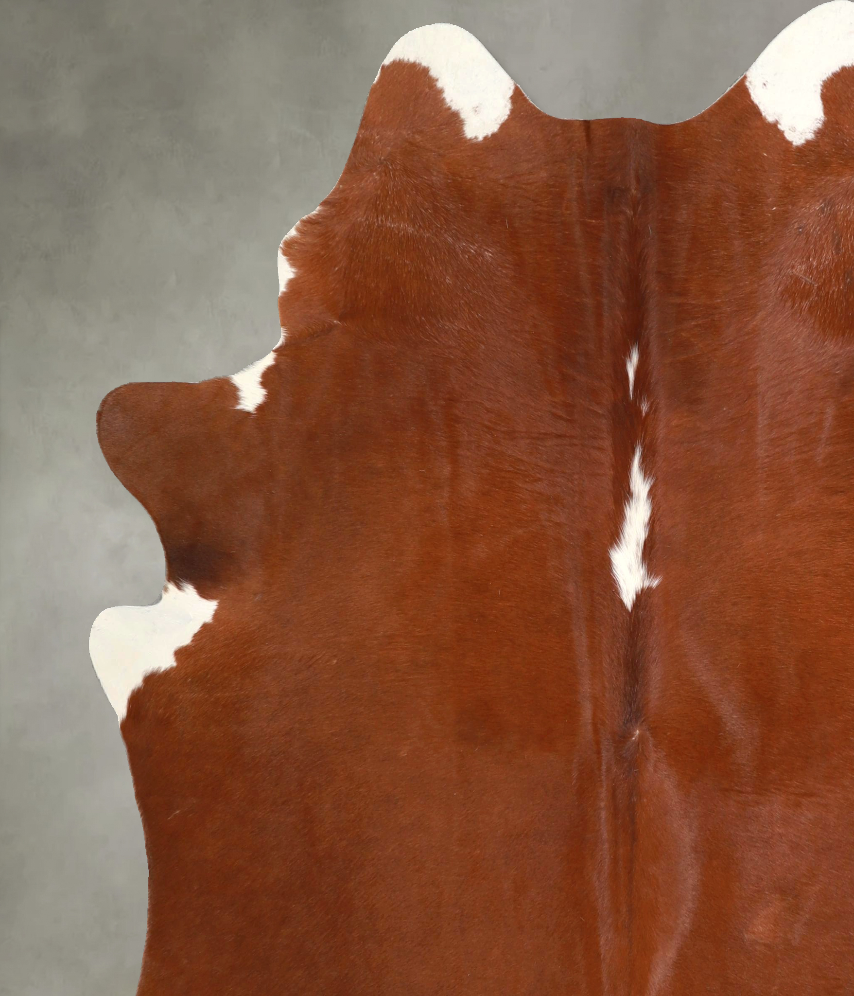 Brown and White Regular Cowhide Rug #A49441