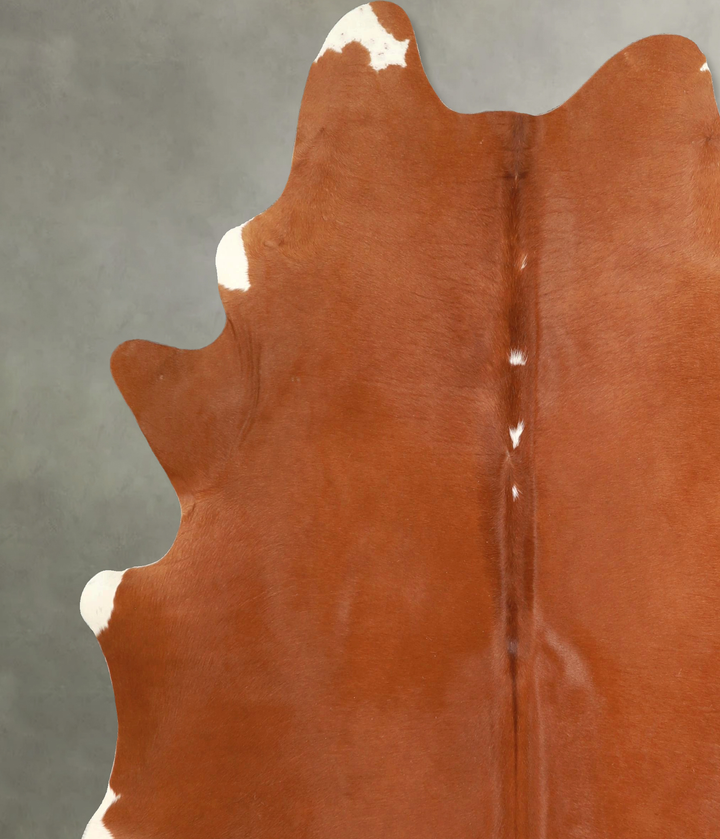 Solid Brown X-Large Brazilian Cowhide Rug 7'3"H x 6'3"W #A49446 by Hudson Hides