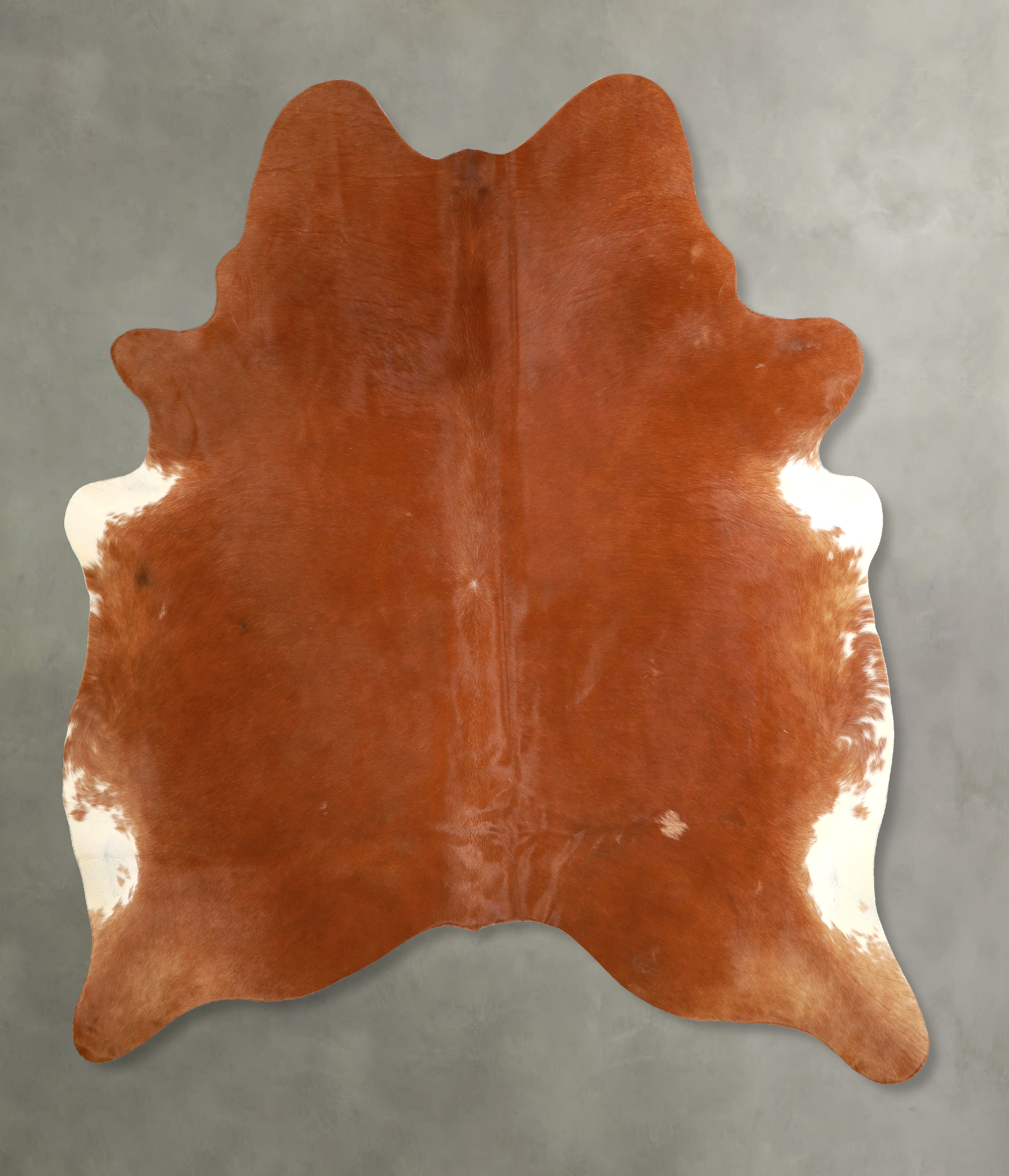 Solid Brown Cowhide Rug #A49447