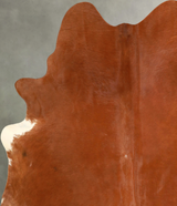 Solid Brown X-Large Brazilian Cowhide Rug 7'0"H x 6'1"W #A49447 by Hudson Hides