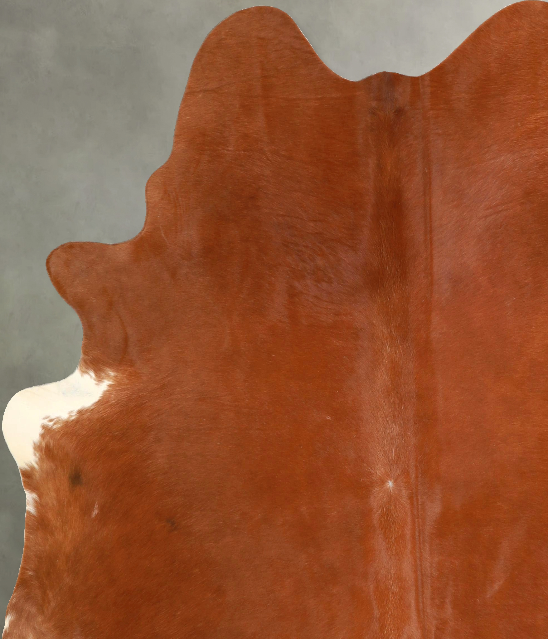 Solid Brown Cowhide Rug #A49447
