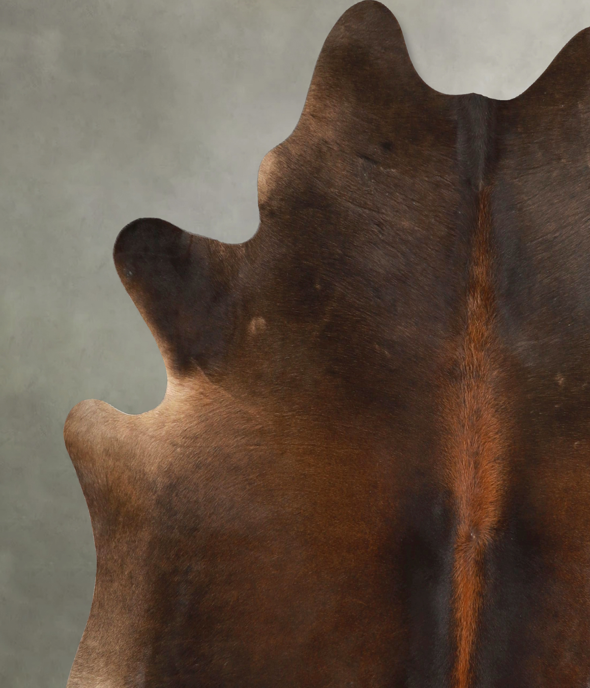 Chocolate X-Large Brazilian Cowhide Rug 7'1"H x 6'10"W #A49449 by Hudson Hides