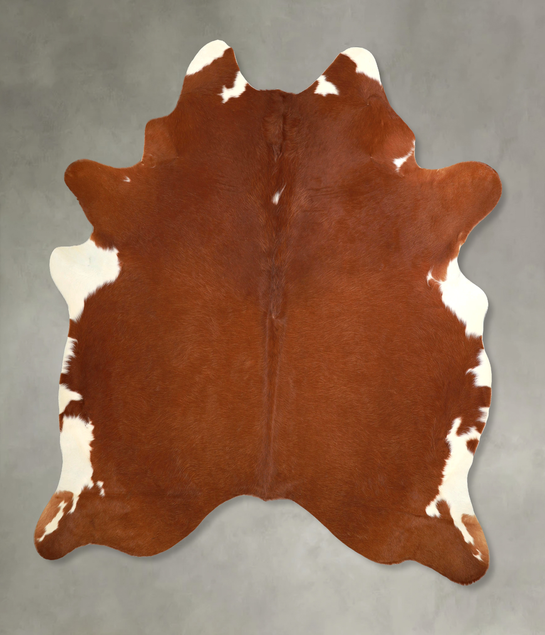 Brown and White Regular Cowhide Rug #A49458
