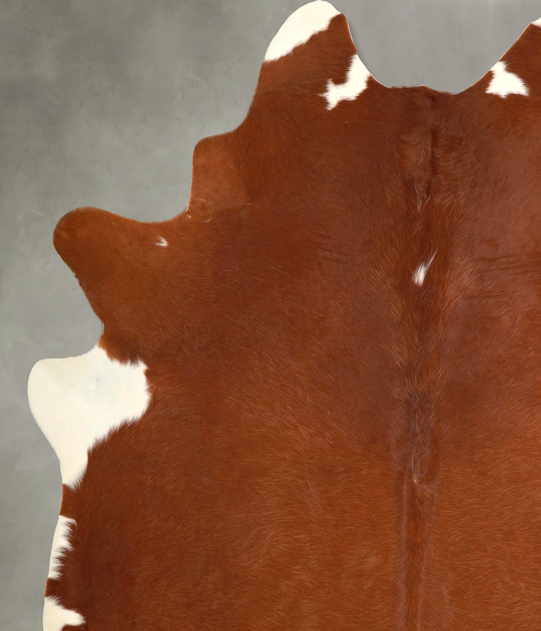 Brown and White Regular Cowhide Rug #A49458