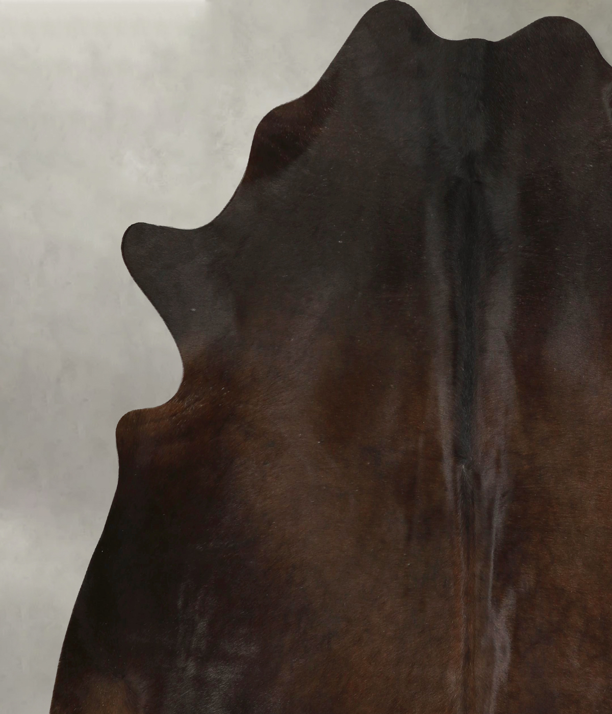 Chocolate X-Large Brazilian Cowhide Rug 7'1"H x 6'8"W #A49459 by Hudson Hides