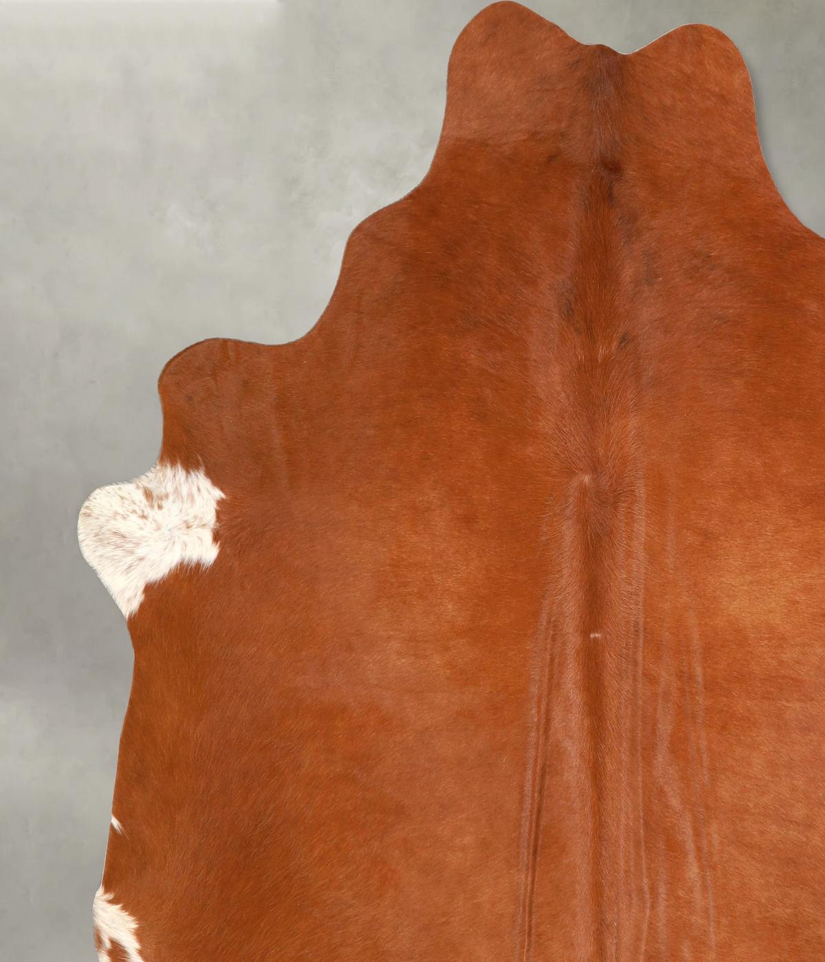 Solid Brown X-Large Brazilian Cowhide Rug 6'11"H x 6'11"W #A49462 by Hudson Hides